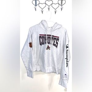 Champion Reverse Weave Arizona Coyotes Hockey Hoodie Medium